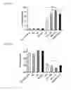 Fig. 41 - 5′-triphosphate oligoribonucleotides
