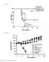 Fig. 48 - 5′-triphosphate oligoribonucleotides