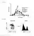 Fig. 52 - 5′-triphosphate oligoribonucleotides