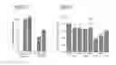 Fig. 07 - MiRNA molecule defined by its source and its diagnostic and therapeutic uses in diseases or conditions associated with EMT