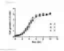 Fig. 08 - Universal protein overexpression tag comprising ramp function, and application thereof