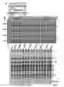 Fig. 05 - Telomerator-a tool for chromosome engineering