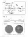 Fig. 03 - SELECTABLE MARKER FOR TRANSGENIC PLANTS