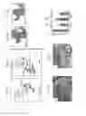 Fig. 02 - TERMINATING FLOWER (TMF) GENE AND METHODS OF USE
