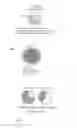 Fig. 02 - Methods and compositions for targeting RNA polymerases and non-coding RNA biogenesis to specific loci