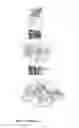 Fig. 17 - Methods and compositions for targeting RNA polymerases and non-coding RNA biogenesis to specific loci