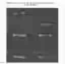 Fig. 08 - Methods and Compositions for Targeting Sequences of Interest to the Chloroplast