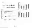 Fig. 06 - Modified promoter sequence and application thereof