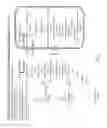 Fig. 06 - Tissue specific reduction of lignin
