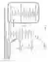 Fig. 09 - Tissue specific reduction of lignin