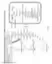 Fig. 10 - Tissue specific reduction of lignin