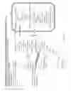 Fig. 12 - Tissue specific reduction of lignin