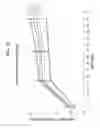Fig. 16 - Tissue specific reduction of lignin
