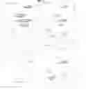 Fig. 18 - Tissue specific reduction of lignin