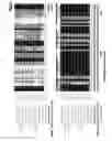Fig. 27 - PLANTS HAVING ENHANCED YIELD-RELATED TRAITS AND A METHOD FOR MAKING THE SAME