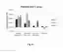 Fig. 23 - FUNCTIONAL EXPRESSION OF BACTERIAL MAJOR FACILITATOR SUPERFAMILY MFS GENE IN MAIZE TO IMPROVE AGRONOMIC TRAITS AND GRAIN YIELD