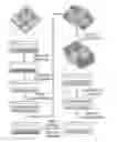 Fig. 01 - DEVICE FOR INTRACELLULAR DELIVERY AND A METHOD THEREOF