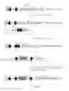 Fig. 05 - Methods and products for producing engineered mammalian cell lines with amplified transgenes