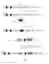 Fig. 06 - Methods and products for producing engineered mammalian cell lines with amplified transgenes