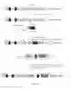 Fig. 07 - Methods and products for producing engineered mammalian cell lines with amplified transgenes