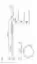 Fig. 02 - Genetically modified microorganism for producing long-chain dicarboxylic acid and method of using thereof