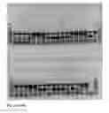 Fig. 04 - Methods and kits to determine the sensitivity of strains of bacteria to phage infection