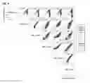 Fig. 12 - HIGHLY MULTIPLEX SINGLE AMINO ACID MUTAGENESIS FOR MASSIVELY PARALLEL FUNCTIONAL ANALYSIS
