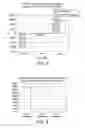 Fig. 06 - ASSAY FOR DETECTING A NUCLEIC ACID ANALYTE IN A BIOLOGICAL SAMPLE