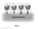 Fig. 03 - Biochemically activated electronic device