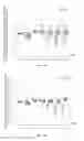 Fig. 17 - Methylation pattern analysis of tissues in a DNA mixture