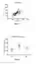 Fig. 03 - Method and kit for making an in vitro prognosis of severity for a patient in septic shock