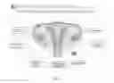 Fig. 05 - Methods and systems for assessing infertility and related pathologies