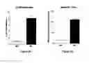 Fig. 08 - Recombination sequence (RS) rearrangement frequency as a measure of central B cell tolerance