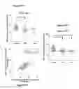 Fig. 17 - Recombination sequence (RS) rearrangement frequency as a measure of central B cell tolerance