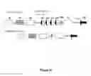 Fig. 24 - Recombination sequence (RS) rearrangement frequency as a measure of central B cell tolerance