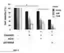 Fig. 13 - Method for treating muscle-invasive bladder cancer, containing S100A9 and EGFR inhibitors and cisplatin as active ingredients