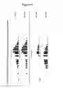 Fig. 12 - METHOD FOR IDENTIFYING CELLS