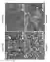 Fig. 07 - Oxygen-free atomic layer deposition of indium sulfide