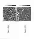 Fig. 16 - Oxygen-free atomic layer deposition of indium sulfide