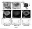 Fig. 02 - Heterostructures for ultra-active hydrogen evolution electrocatalysis