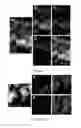 Fig. 09 - Heterostructures for ultra-active hydrogen evolution electrocatalysis
