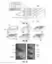 Fig. 04 - Heterogeneous material integration through guided lateral growth