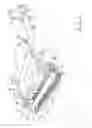 Fig. 02 - Device for collecting oil