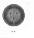 Fig. 37 - Repetitive pulsed electric discharge apparatuses and methods of use