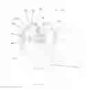 Fig. 01 - REDUCED LENGTH AND LOW COBALT CONTENT CUTTERS AND DRILL BIT MADE THEREWITH
