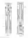 Fig. 03 - Below motor equalizer of electrical submersible pump and method for connecting