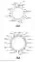 Fig. 07 - Gas turbine engine having a mistuned stage