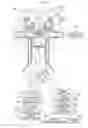 Fig. 02 - Control device for internal combustion engine