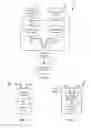 Fig. 02 - Air-enriched gaseous fuel direct injection for an internal combustion engine