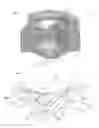 Fig. 02 - Nozzle body, the valve assembly and fluid injection valve